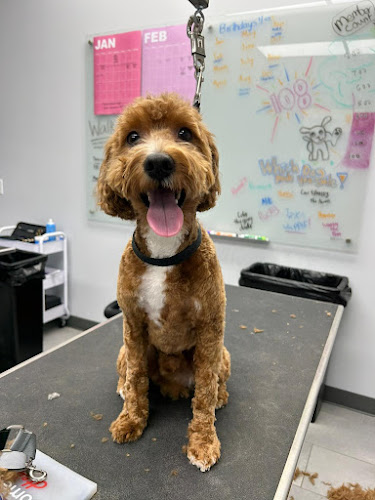 Scenthound Provo University