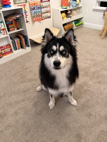 Scooby’s Affordable Grooming