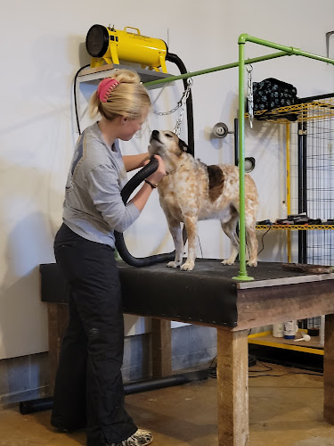 Scruffy To Fluffy Pet Parlor LLC