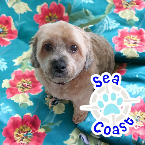 Sea Coast Mobile Pet Grooming