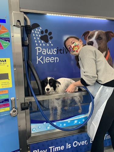 Seattle Canine Club - Dog Grooming & Self-Wash