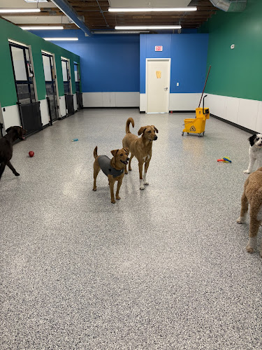 Second Home Pet Services