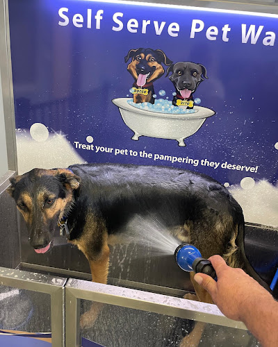 Self Serve Pet Wash