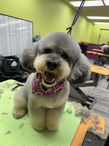 Serenity Pet Spa West | Dog Grooming Madison