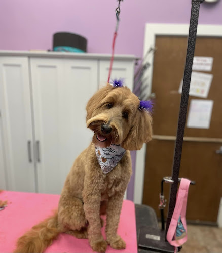 Shaggy to Chic Boutique West