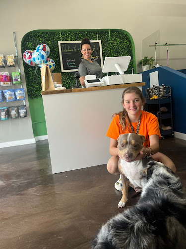 Shampooch Dog Wash & Grooming