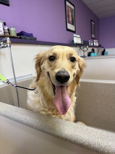 Shampooch Self Services Dog Wash