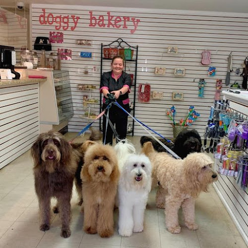 ShamPoochies of Pensacola