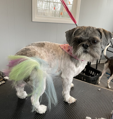 Shannon's Pretty Paws