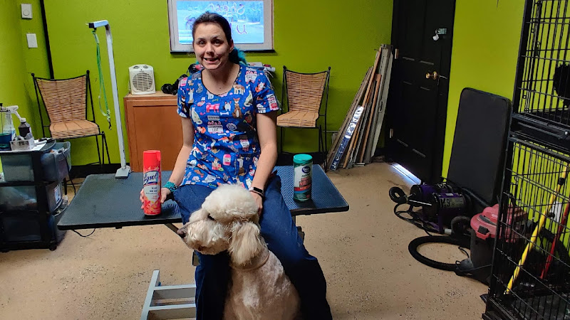 Shear It Up Dog Grooming