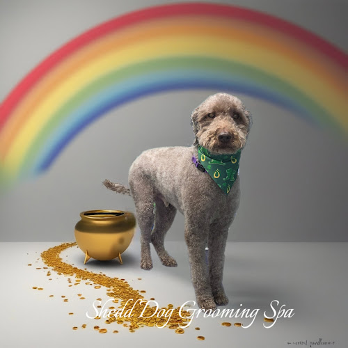 Shedd Dog Grooming Spa