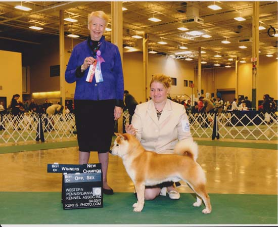 Sheer Heaven Pet Resort and Grooming