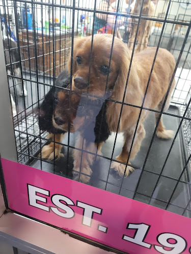 Shelly's Pet Grooming