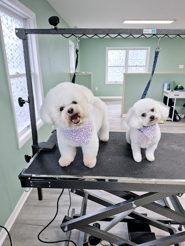 Shenandoah Dog Spa LLC