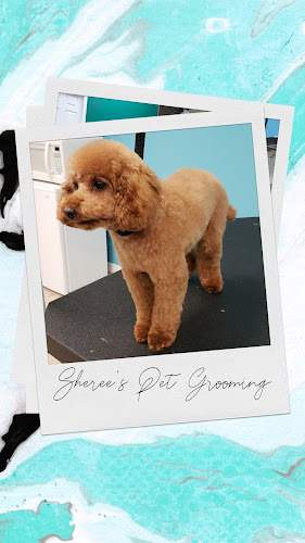 Sheree’s Pet Grooming