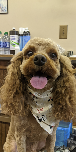 Sherrie's pet Grooming