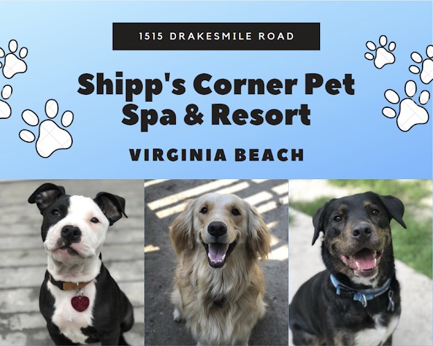 Shipp's Corner Pet Spa & Resort