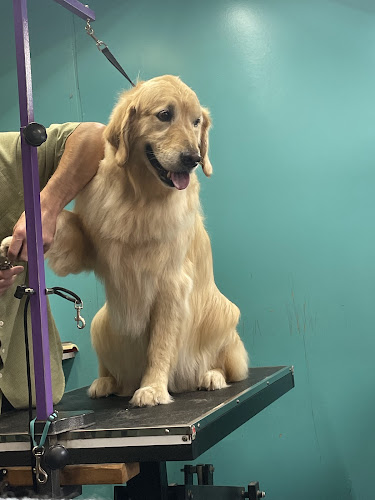 Shirley’s Valley Grooming - Carson City