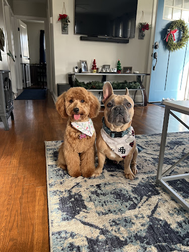 Showcase Grooming Salon