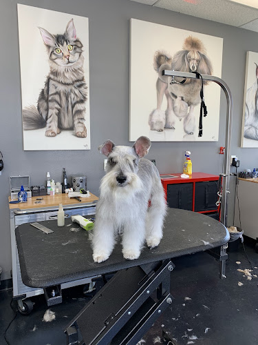 Signal Hill Pet Grooming LLC