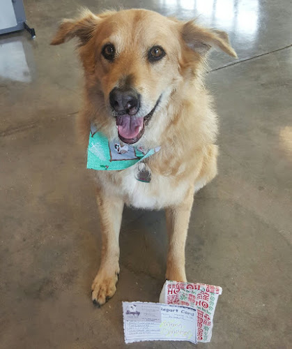 Simply Purrfect Grooming