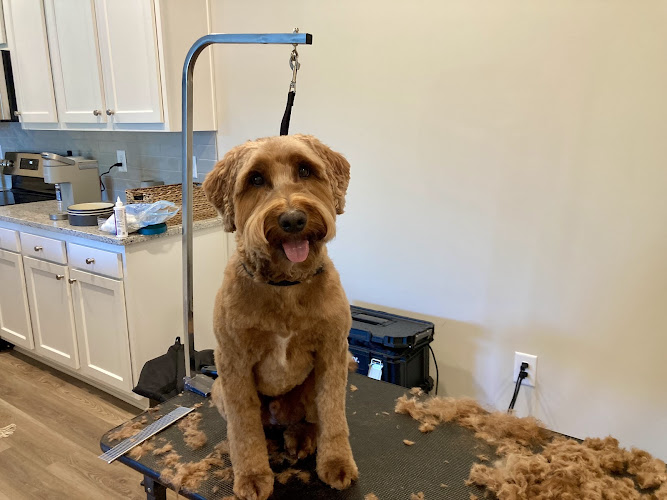 Sirius Dog Star Grooming and Healing