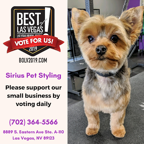 Sirius Pet Styling: Dog Grooming & Doggy Daycare