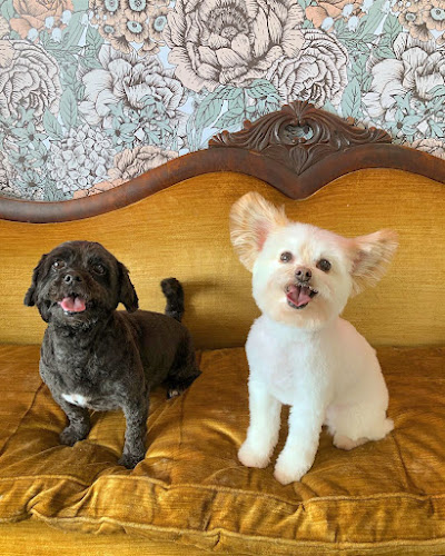 Sit Pretty Grooming Salon & Self-Service Pet Wash