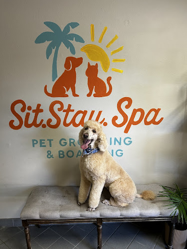 Sit.Stay.Spa
