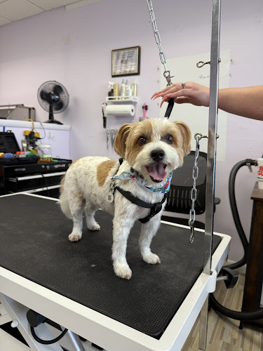 Sitting Pretty Pet Grooming