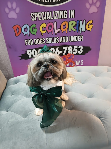 Small World OMG, LLC Dog Spa
