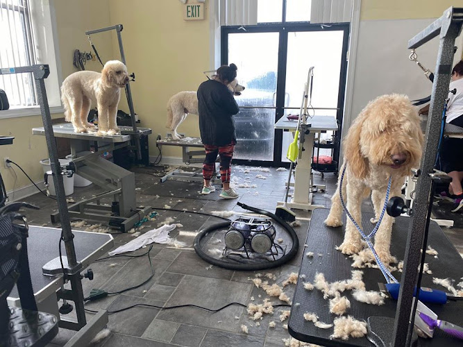 Snazzy Jazzy's Pet Salon Timonium