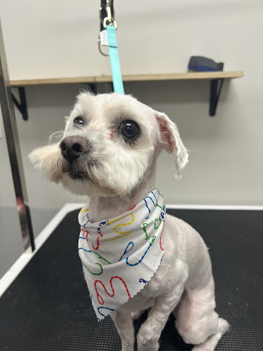 Snazzy Paws Pet Parlor