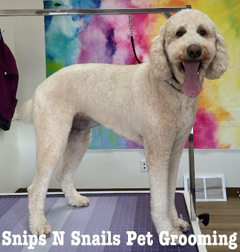 Snips N Snails Pet Grooming