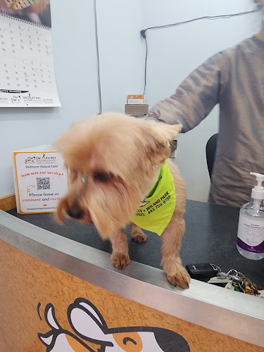 Snoopy Pet Grooming, Roland Park