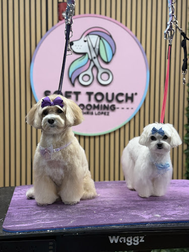 Soft Touch Grooming