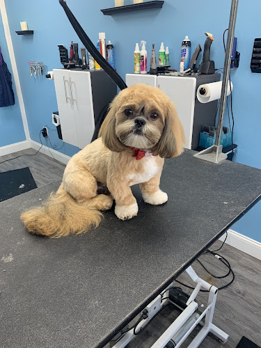 Soggy Doggies Grooming, LLC