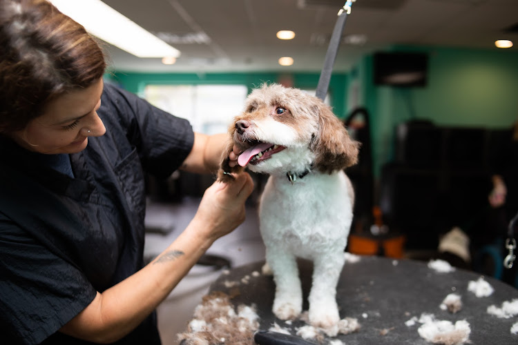 Somethin' To Wag About