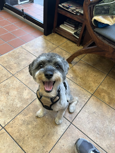 Sonia's Pet Grooming