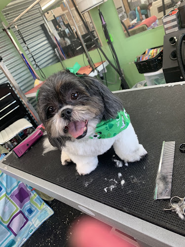 Sonny's Spaw and Self Wash