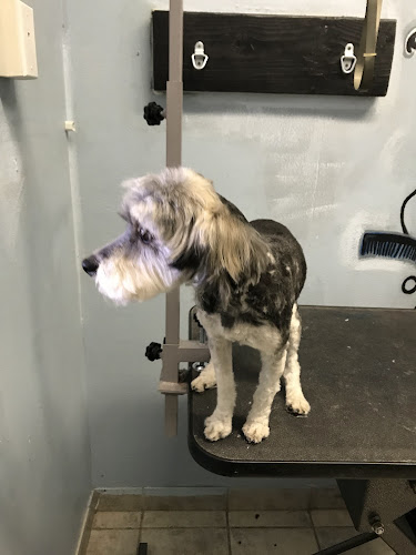 SOS Dog Grooming