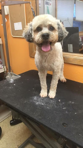 South Central Grooming