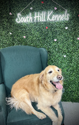South Hill Kennels