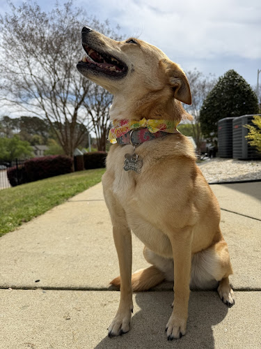 South Paw Pet Grooming