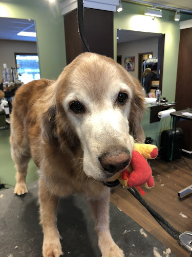 South Paw Pet Grooming