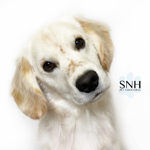 Southern NH Pet Grooming