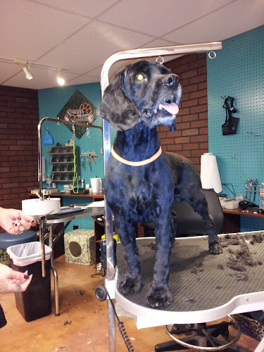 Southpaw's Grooming of Edmond Okla.