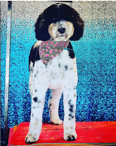 Sparkly Pets Grooming