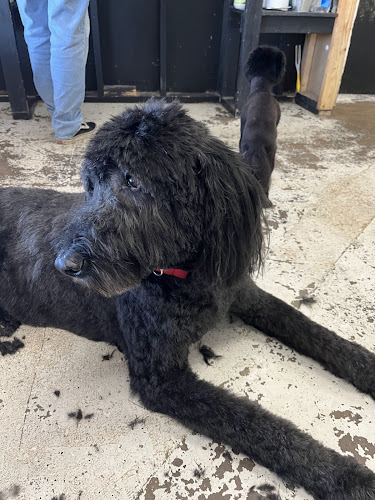 SPAW Pet Grooming of Abilene Texas