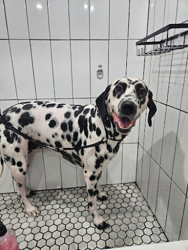 SPAWDICURE K9 CARE AND GROOMING